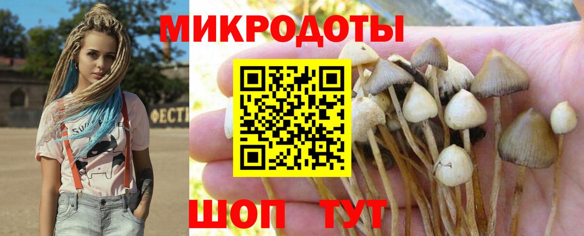 Галлюциногенные грибы мухоморы  Галлюциногенные грибы MAGIC MUSHROOMS  Коряжма  Вход с VPN 